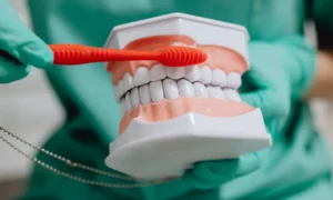 Gingivitis vs. Periodontitis: What's the Difference in Towson, MD